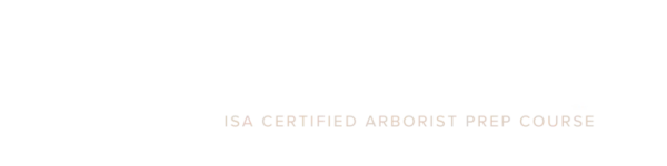 Tree Test Prep
